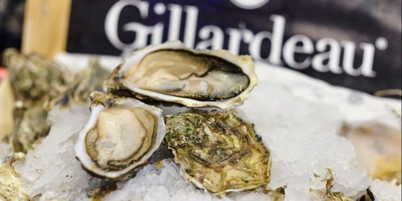 kalmeren Laatste kaping Gillardeau oesters | Makkelijk online bij ons besteld. | Visspeciaalzaak  Aan de Kant